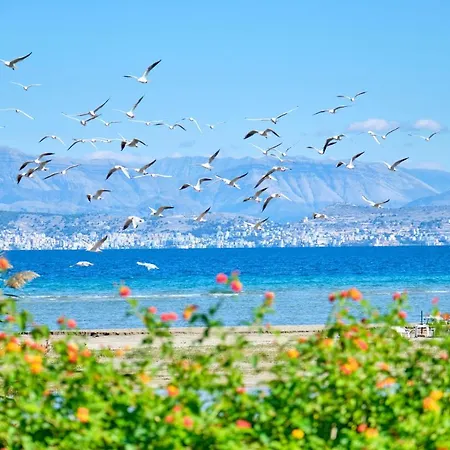 Aparthotel Nikos Kalamaki Corfu