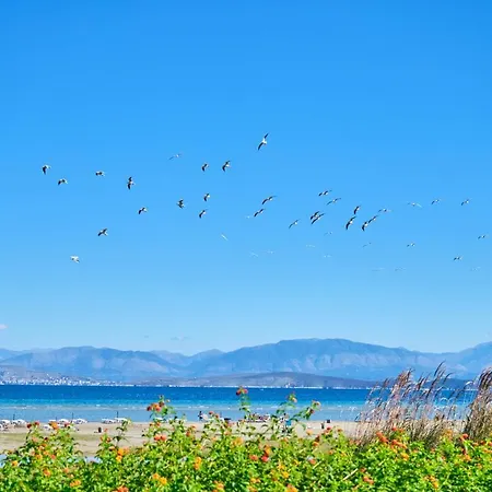 Nikos Kalamaki Corfu Apartahotel Apraos